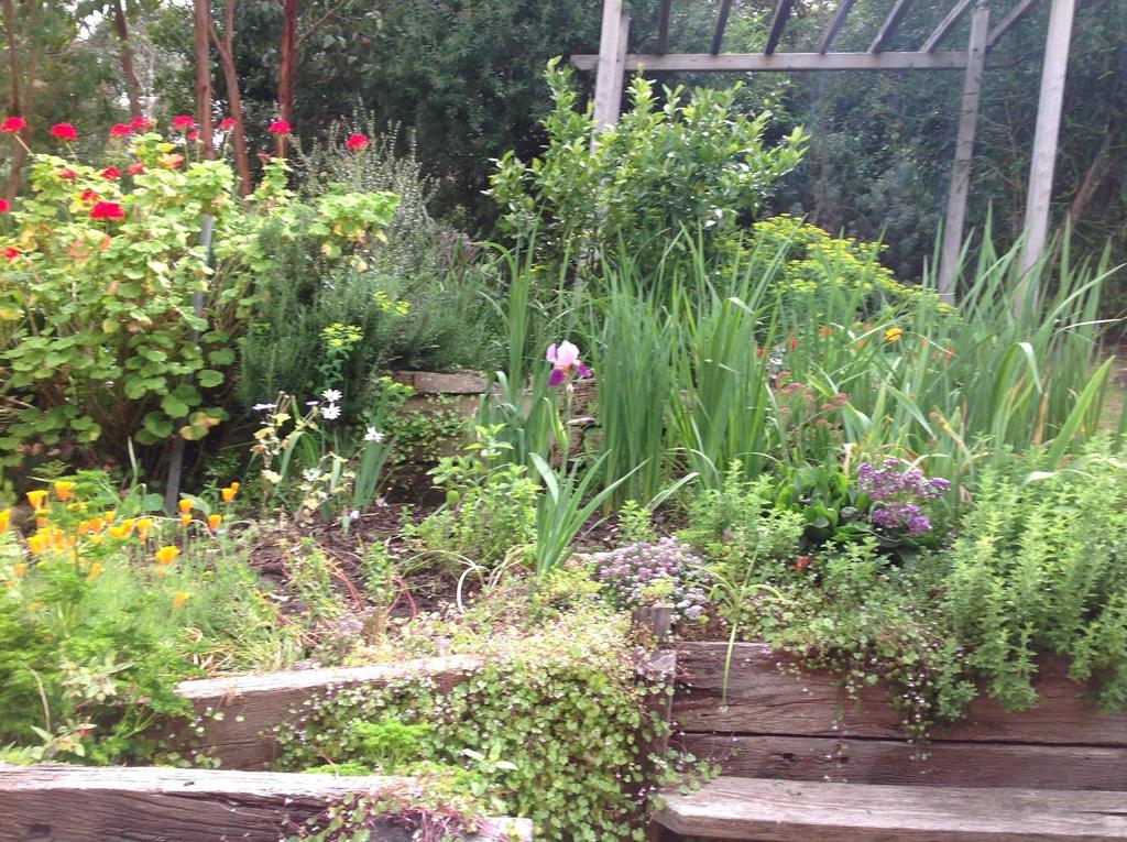 Curdie River Retreat Bed and Breakfast Curdie Vale Exteriör bild